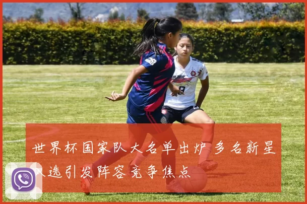 世界杯国家队大名单出炉 多名新星入选引发阵容竞争焦点