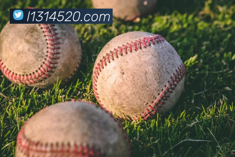 MILE·米乐(集团)官方网站 - HOME平台生态图